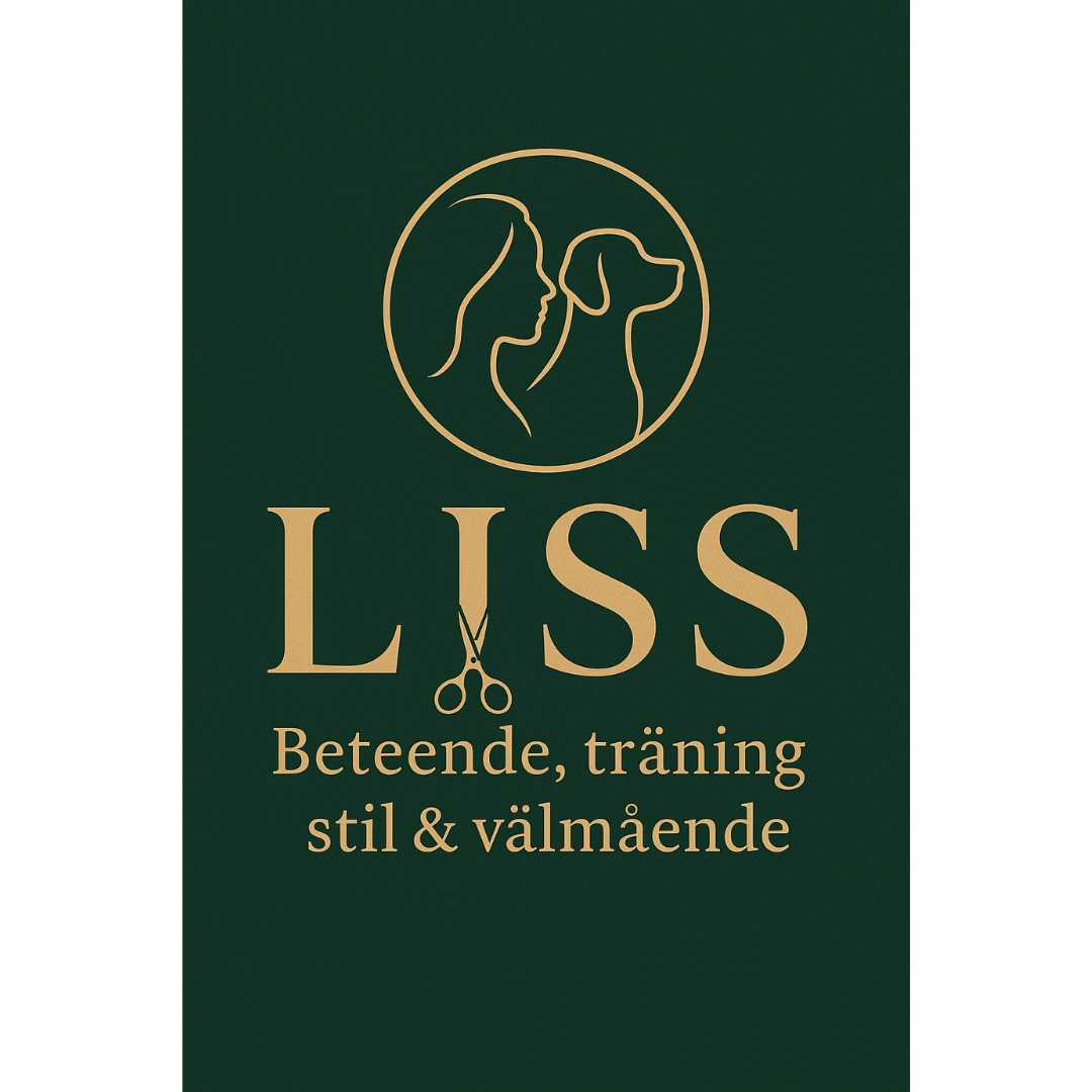 Sebbes Tassar tassfesten Mark Borås